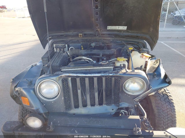 2002 JEEP WRANGLER 1J4FA49SX2P739285 Photo 9