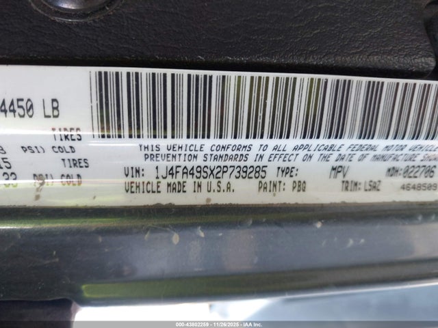 2002 JEEP WRANGLER 1J4FA49SX2P739285 Photo 8