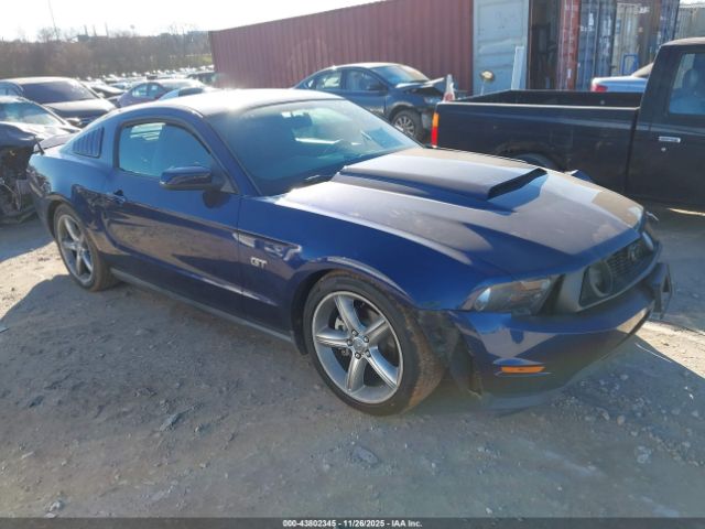 2010 FORD MUSTANG 1ZVBP8CH8A5106234