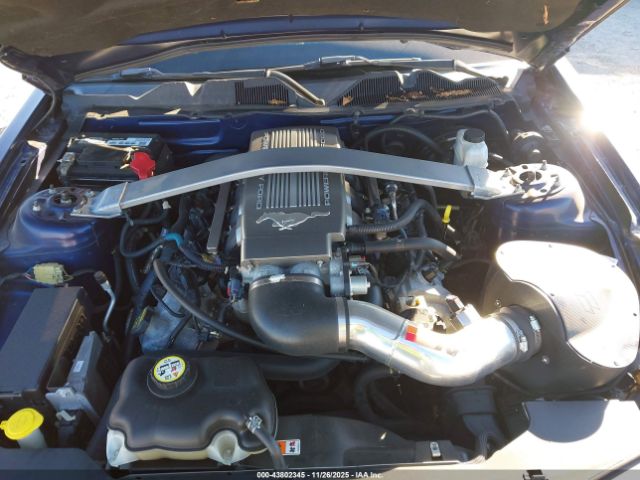 2010 FORD MUSTANG 1ZVBP8CH8A5106234 Photo 9