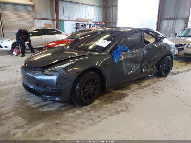 2023 TESLA MODEL 3 5YJ3E1EAXPF613826 Photo 1