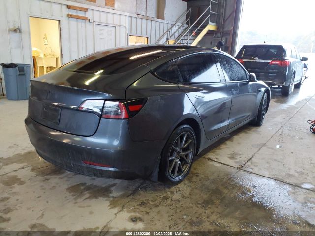 2023 TESLA MODEL 3 5YJ3E1EAXPF613826 Photo 3