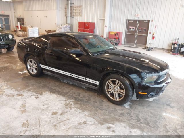 2011 FORD MUSTANG 1ZVBP8AM0B5136040