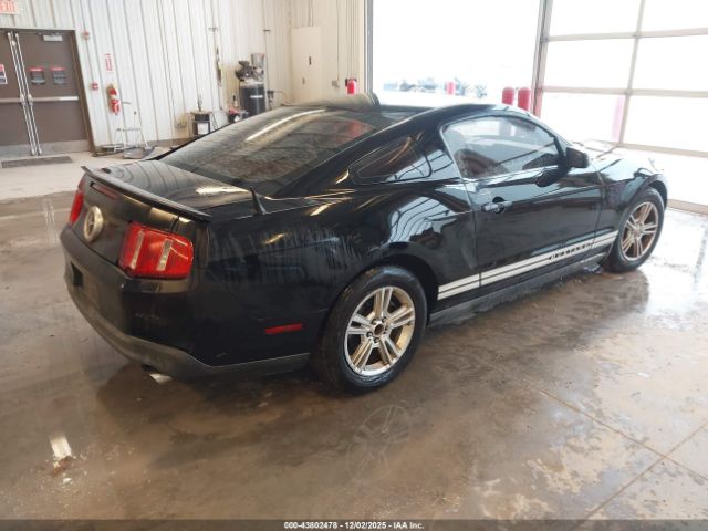 2011 FORD MUSTANG 1ZVBP8AM0B5136040 Photo 3
