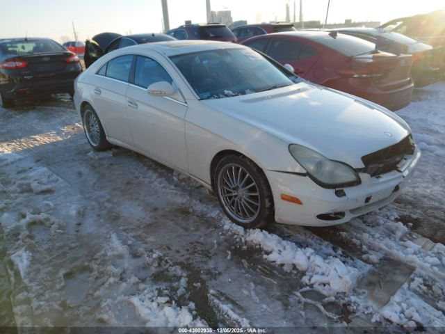 2006 MERCEDES-BENZ CLS 500 WDDDJ75X06A028483