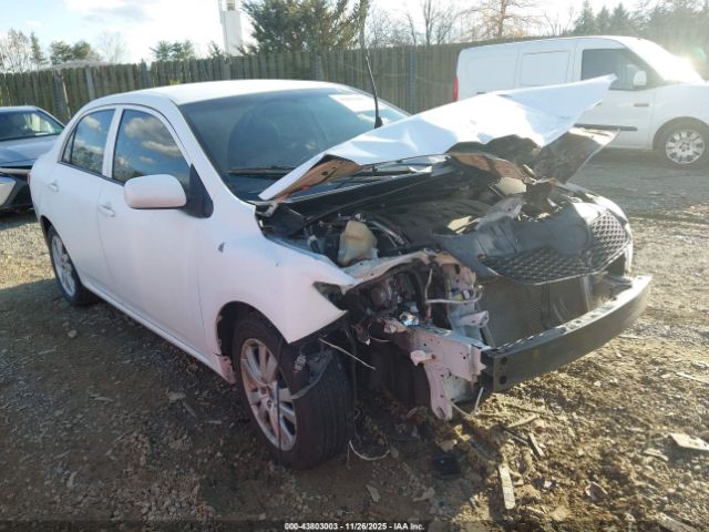 2010 TOYOTA COROLLA 2T1BU4EE2AC360449