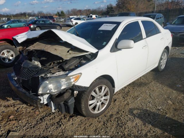 2010 TOYOTA COROLLA 2T1BU4EE2AC360449 Photo 1