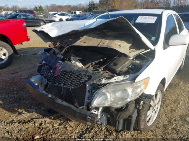 2010 TOYOTA COROLLA 2T1BU4EE2AC360449 Photo 5