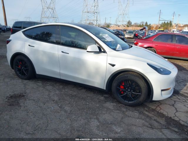 2022 TESLA MODEL Y 7SAYGDEF9NF548786