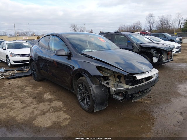 2025 TESLA MODEL Y 7SAYGDEE8SF290411 Photo 0
