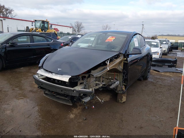 2025 TESLA MODEL Y 7SAYGDEE8SF290411 Photo 5