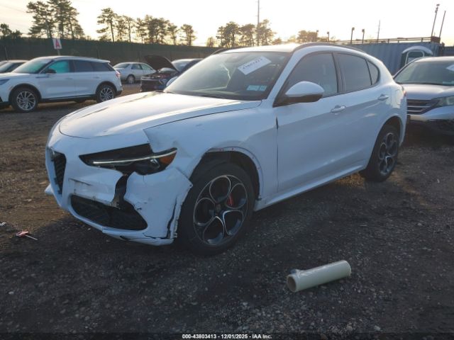 2021 ALFA ROMEO STELVIO ZASPAKBN2M7D14768 Photo 1