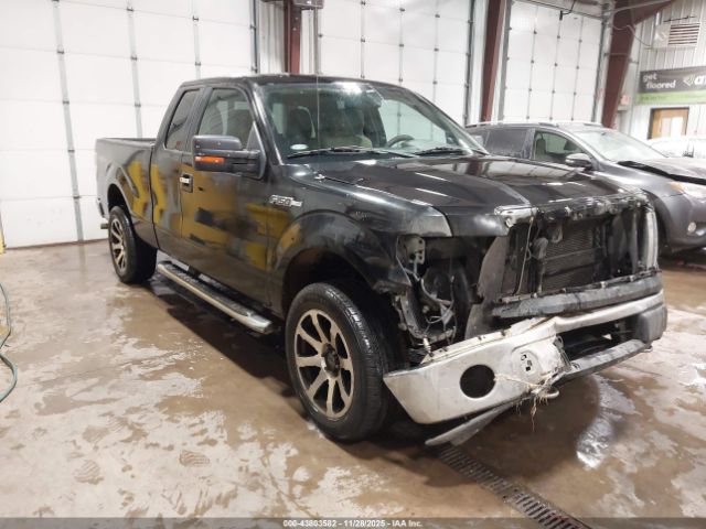 2010 FORD F-150 1FTFX1EV0AKE76559