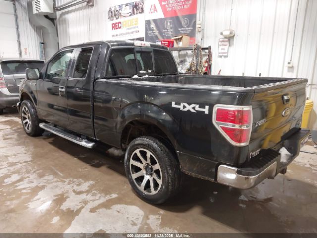 2010 FORD F-150 1FTFX1EV0AKE76559 Photo 2