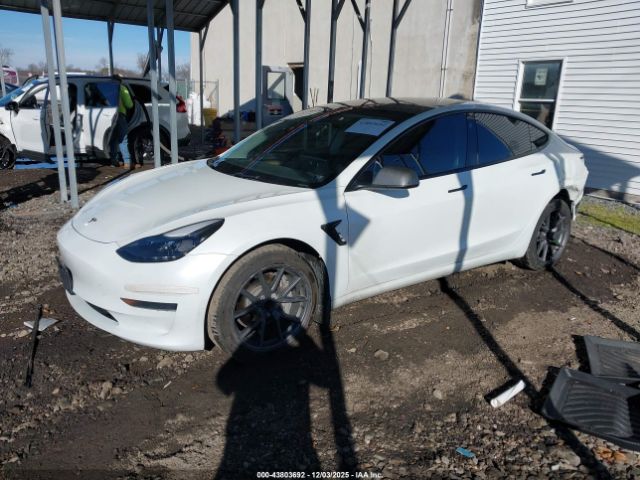 2023 TESLA MODEL 3 5YJ3E1EA1PF563835 Photo 1