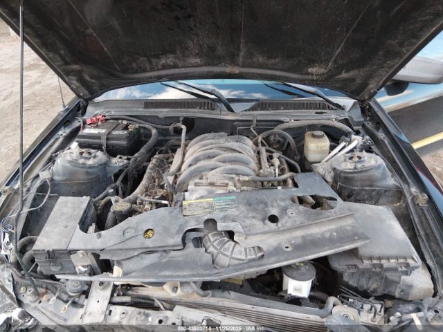 2006 FORD MUSTANG 1ZVFT82H765247687 Photo 9