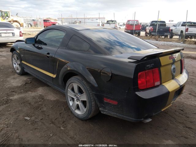 2006 FORD MUSTANG 1ZVFT82H765247687 Photo 2