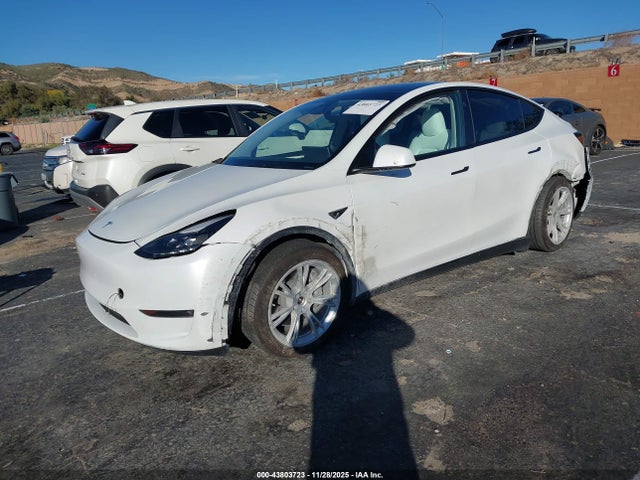 2023 TESLA MODEL Y 7SAYGDEE0PF960363 Photo 1