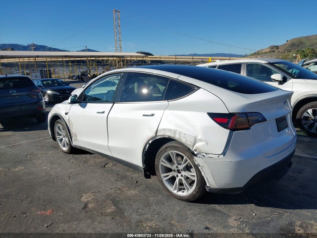 2023 TESLA MODEL Y 7SAYGDEE0PF960363 Photo 2