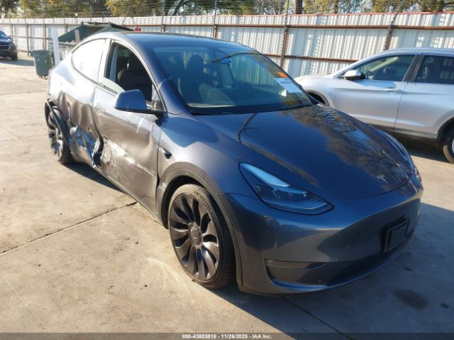 2023 TESLA MODEL Y 7SAYGDEF0PF841141