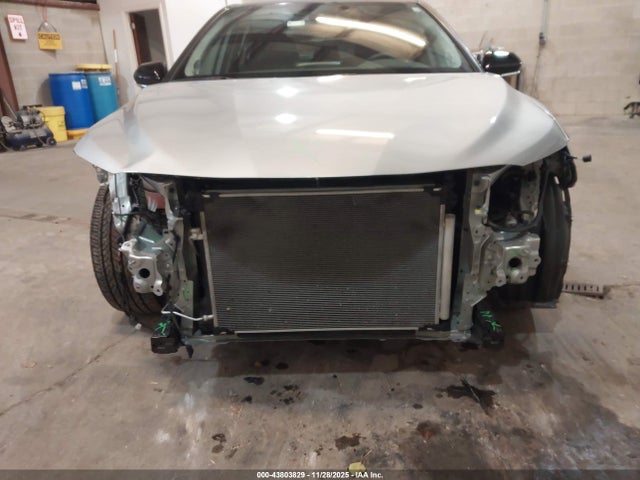 4T1KZ1AK6RU097954 Toyota Camry Xse V6