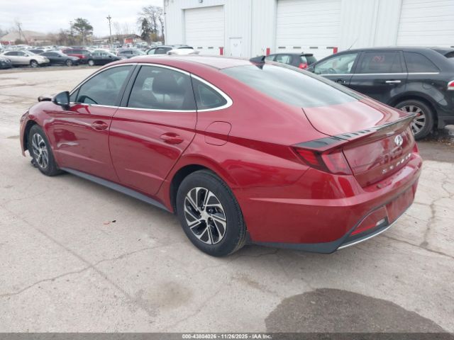 2023 HYUNDAI SONATA HYBRID KMHL24JJ8PA080461 Photo 2