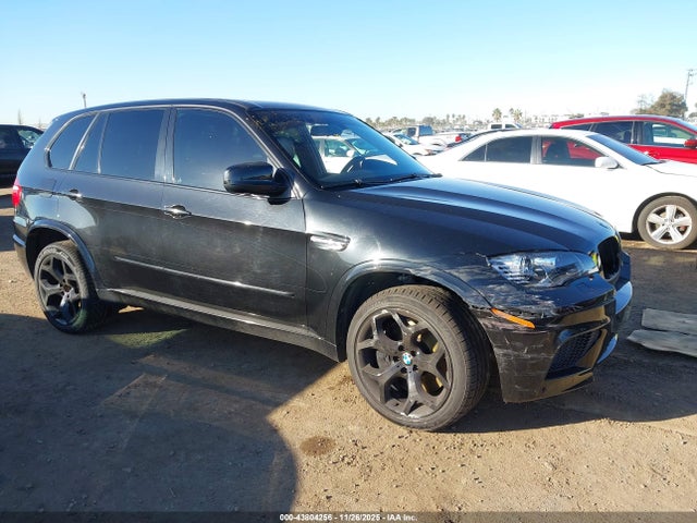 2010 BMW X5 M 5YMGY0C55ALK25407