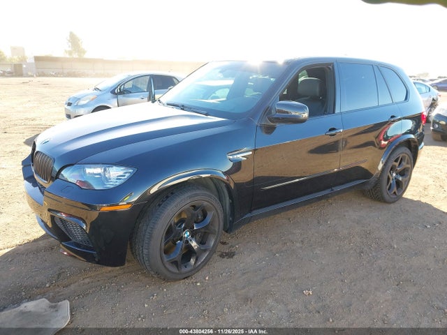 2010 BMW X5 M 5YMGY0C55ALK25407 Photo 1