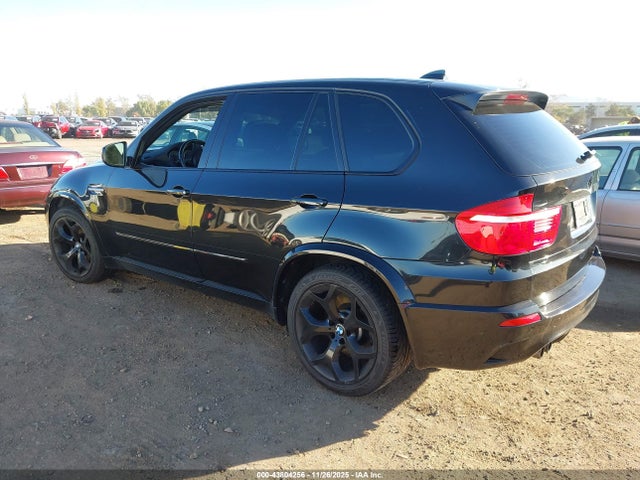 2010 BMW X5 M 5YMGY0C55ALK25407 Photo 2