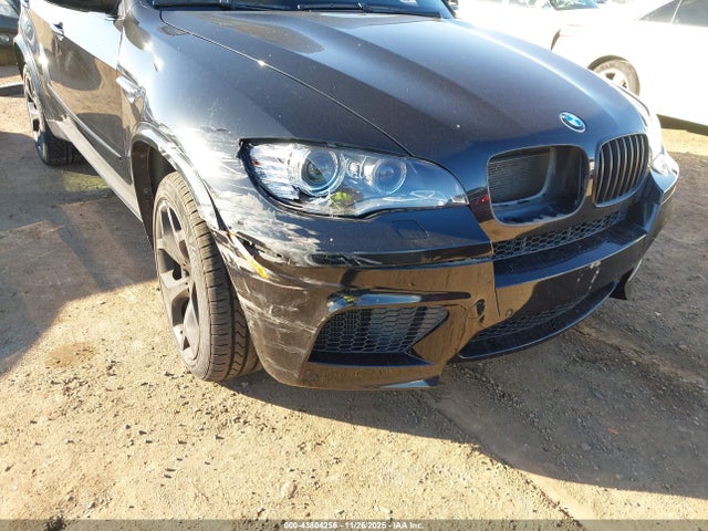 2010 BMW X5 M 5YMGY0C55ALK25407 Photo 5
