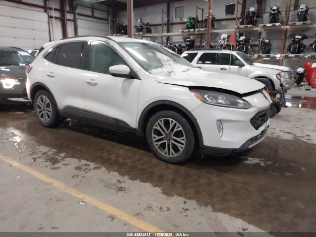 2021 FORD ESCAPE 1FMCU0H67MUA85519