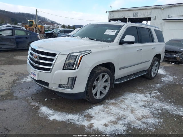 2017 CADILLAC ESCALADE 1GYS4BKJXHR407081 Photo 1