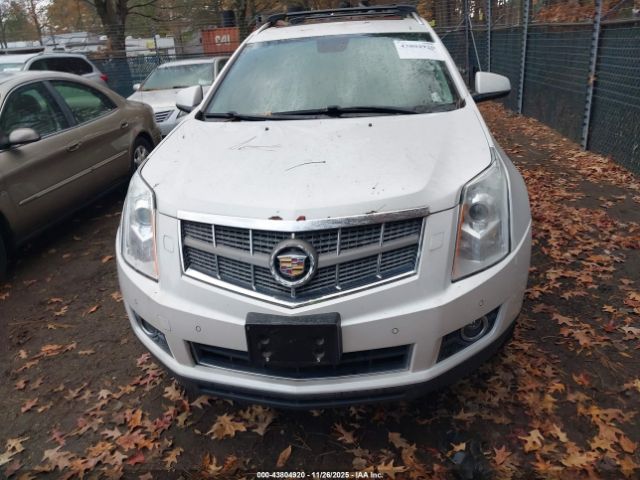 2011 CADILLAC SRX 3GYFNKE66BS594877 Photo 5