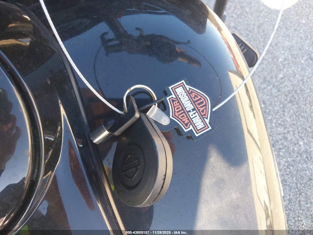 2020 HARLEY-DAVIDSON FLTRXS 1HD1KTP12LB616711 Photo 10