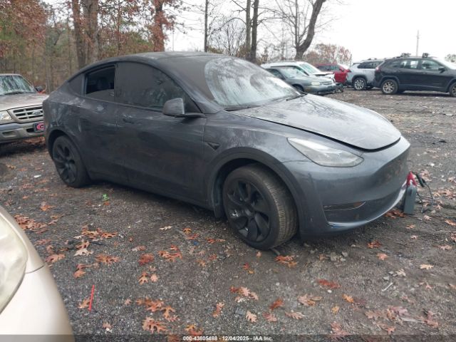 2023 TESLA MODEL Y 7SAYGDEEXPA206478