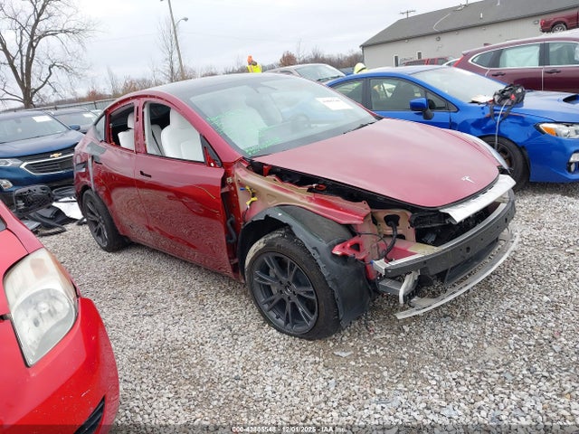 2024 TESLA MODEL Y 7SAYGAEE1RF176842 Photo 0