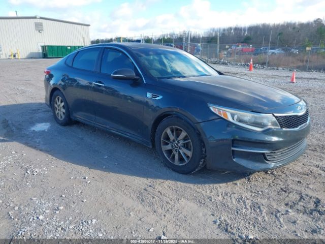 2016 KIA OPTIMA 5XXGT4L11GG034202