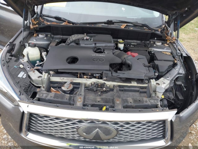 43806249 :رقم المزاد ، 3PCAJ5M35KF120352 vin ، 2019 Infiniti Qx50 Essential مزاد بيع