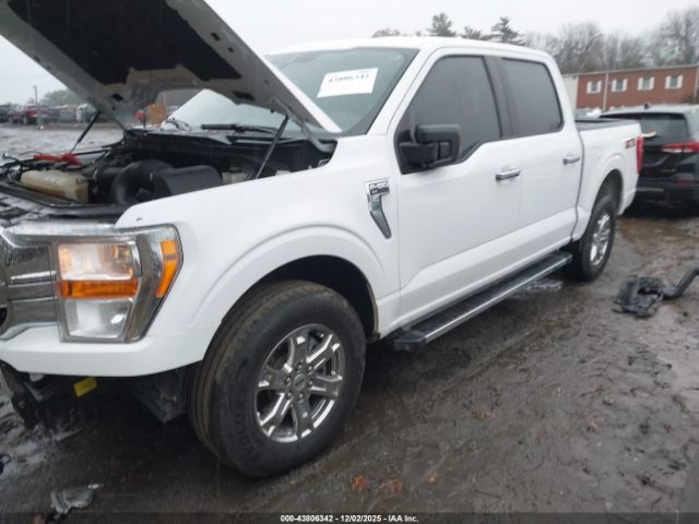 2021 FORD F-150 1FTEW1EP0MKD75820 Photo 1