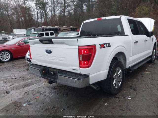 2021 FORD F-150 1FTEW1EP0MKD75820 Photo 3