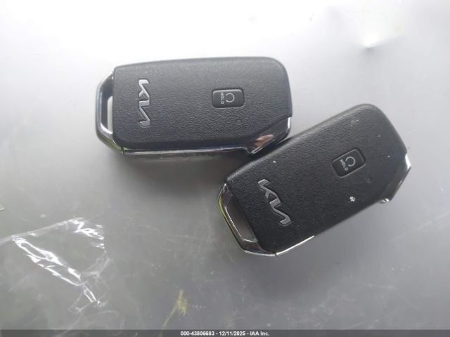 2022 KIA TELLURIDE 5XYP6DHC9NG200699 Photo 10