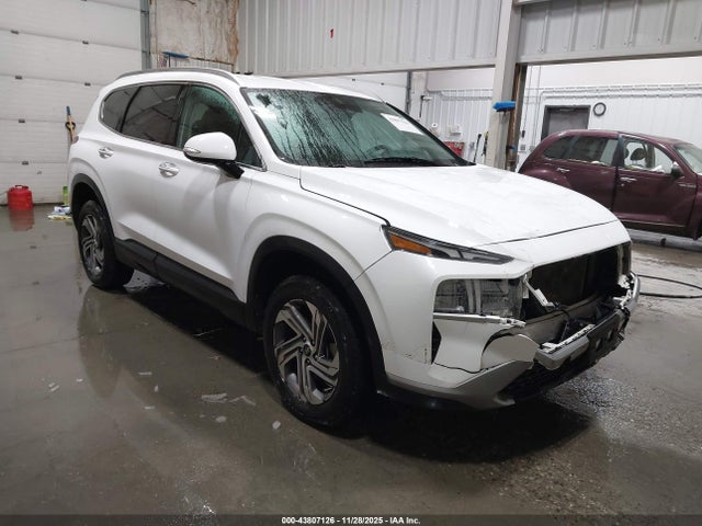 2023 HYUNDAI SANTA FE 5NMS2DAJ3PH579979