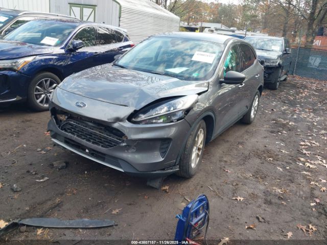 2022 FORD ESCAPE 1FMCU0G64NUB03266 Photo 1