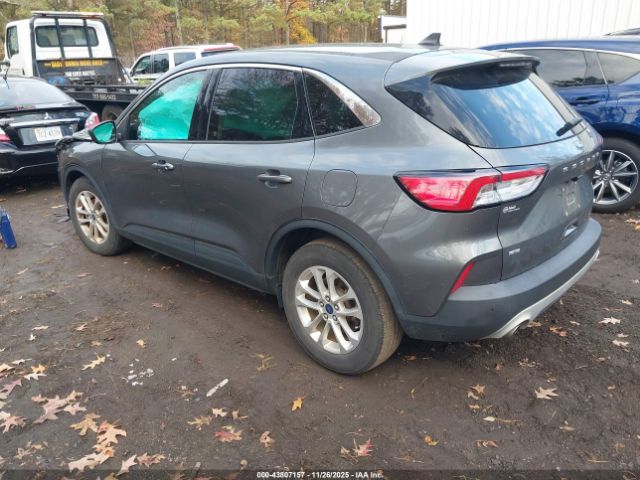 2022 FORD ESCAPE 1FMCU0G64NUB03266 Photo 2