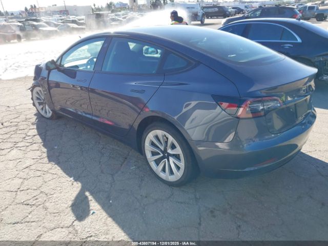 2023 TESLA MODEL 3 5YJ3E1EB9PF712338 Photo 2