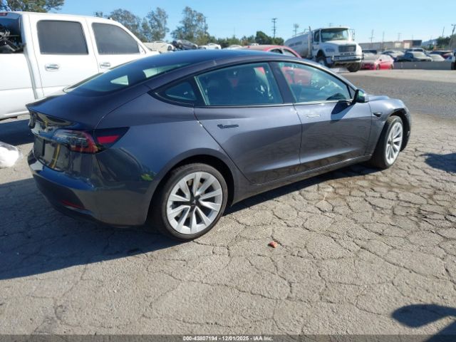 2023 TESLA MODEL 3 5YJ3E1EB9PF712338 Photo 3