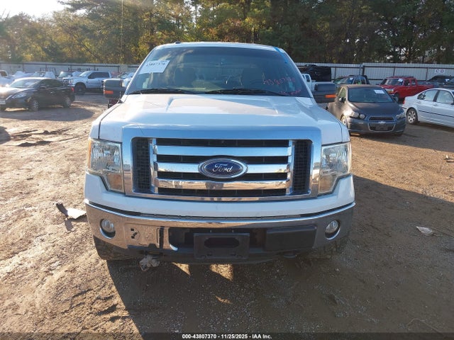 Ford F-150 2014 1FTFW1EF2EFA69983 Image 12