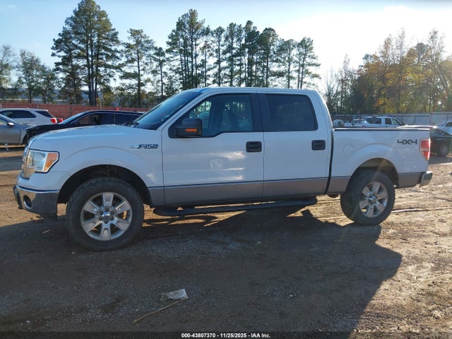 Ford F-150 2014 1FTFW1EF2EFA69983 Image 14