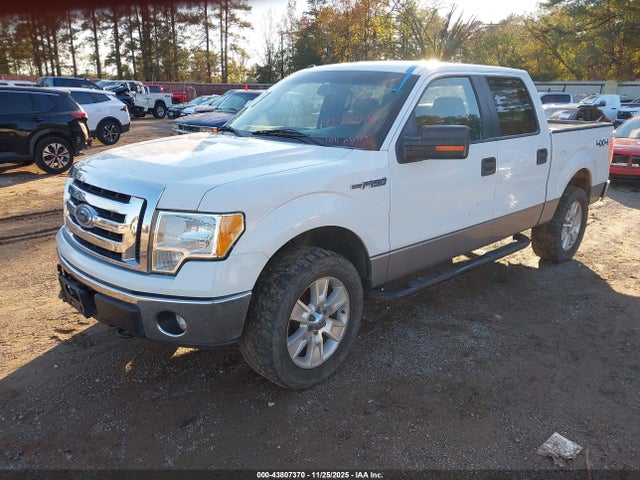 Ford F-150 2014 1FTFW1EF2EFA69983 Image 2