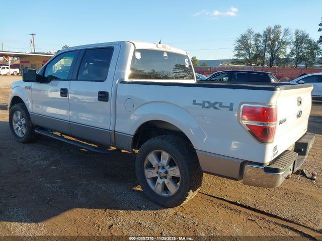 Ford F-150 2014 1FTFW1EF2EFA69983 Image 3